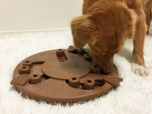 Exploring the Advantages of Dog Puzzle Toys for Mental Agility and Behavior